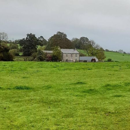 The Hollow Tullow Exterior foto