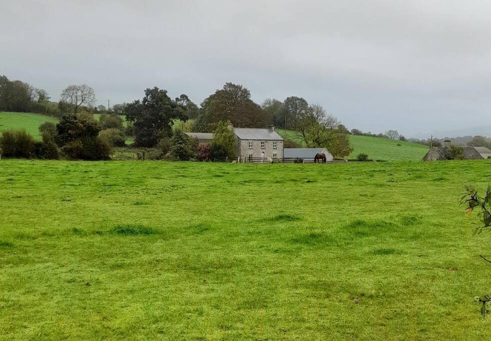 The Hollow Tullow Exterior foto